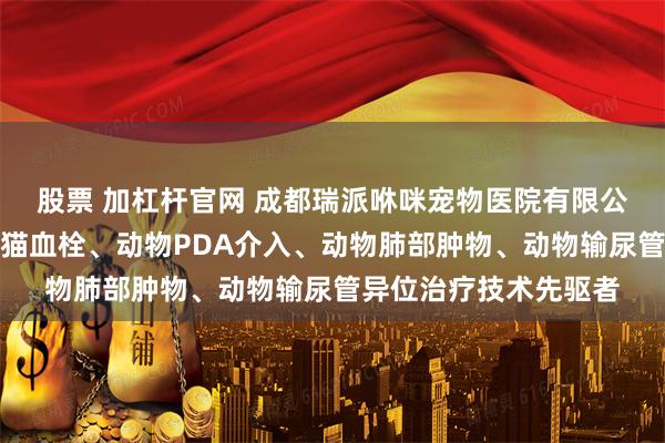 股票 加杠杆官网 成都瑞派咻咪宠物医院有限公司：动物心脏肿瘤、猫血栓、动物PDA介入、动物肺部肿物、动物输尿管异位治疗技术先驱者