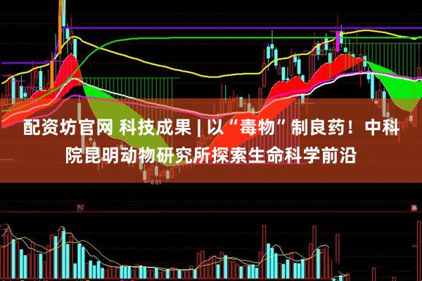 配资坊官网 科技成果 | 以“毒物”制良药！中科院昆明动物研究所探索生命科学前沿