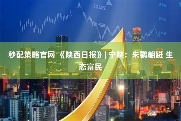 秒配策略官网 《陕西日报》| 宁陕：朱鹮翩跹 生态富民